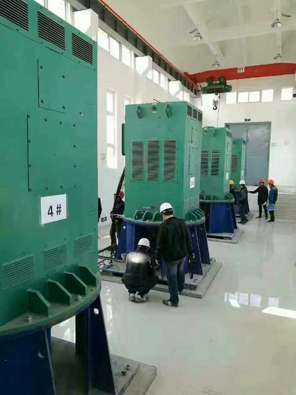 安龙某污水处理厂使用我厂的立式高压电机安装现场