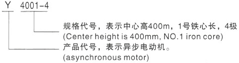 西安泰富西玛Y系列(H355-1000)高压安龙三相异步电机型号说明