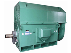 安龙Y系列6KV高压电机